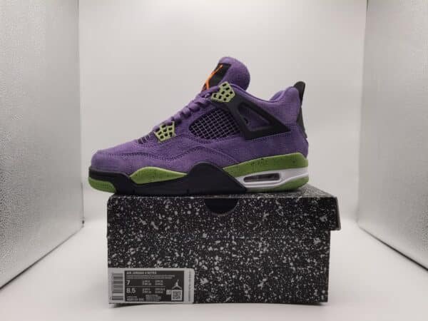 Air Jordan 4 v5